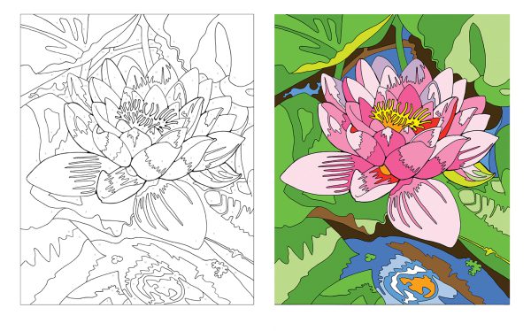 Coloriage par numéros – Fleurs - Image 2