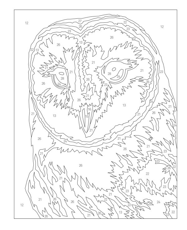 Coloriage par numéros – Oiseaux - Image 3