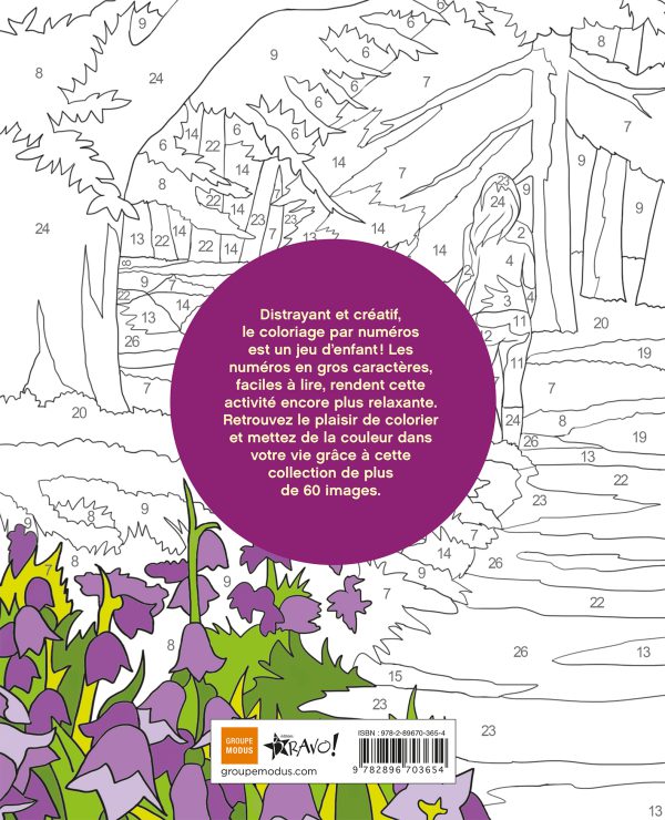 Coloriage par numéros – Plénitude - Image 3