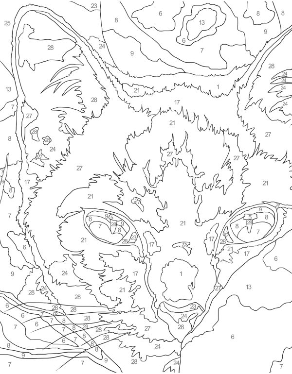 Coloriage par numéros – Plénitude - Image 2
