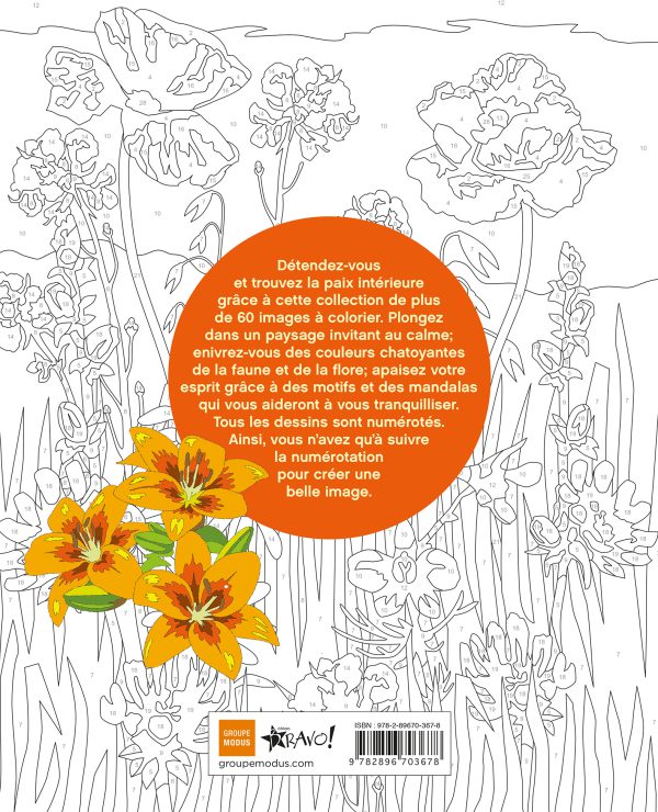 Coloriage par numéros – Zénitude - Image 3