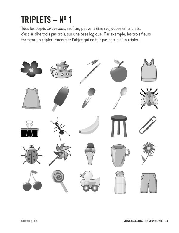 Cerveaux actifs - Le grand livre - Image 3