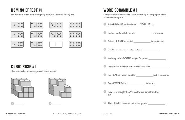 Brain at Play — The Big Book - Image 3