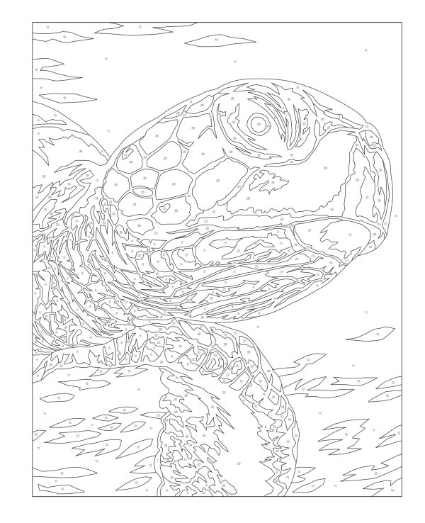 Coloriage par numéros – Océan - Image 2