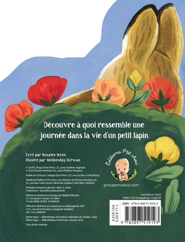 Petit lapin – Image 3