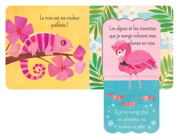 Je suis un flamant – Image 2