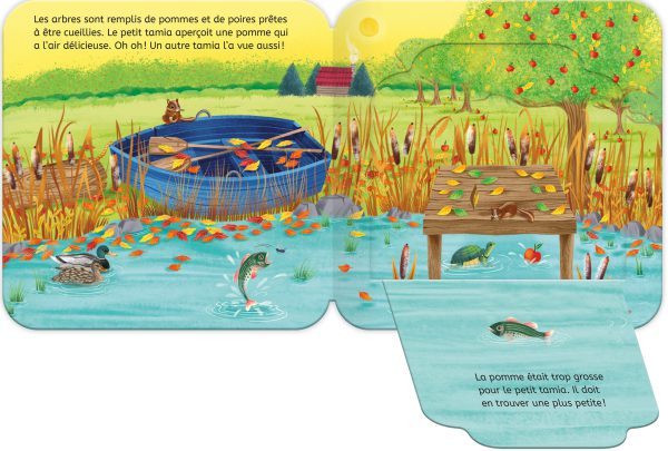 Rabats surprises – L'automne dans la forêt - Image 2