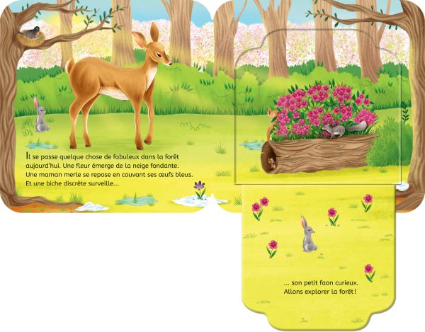 Rabats surprises – Le printemps dans la forêt - Image 2
