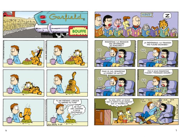 Garfield - De mauvais poil – Image 2