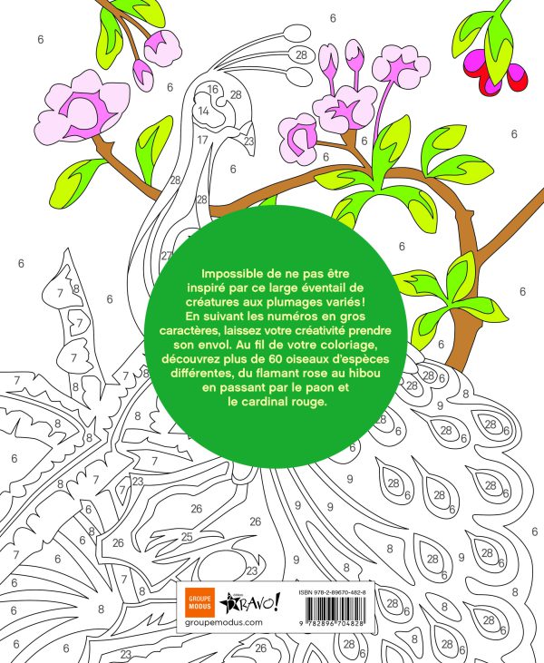 Coloriage par numéros – Oiseaux - Image 4