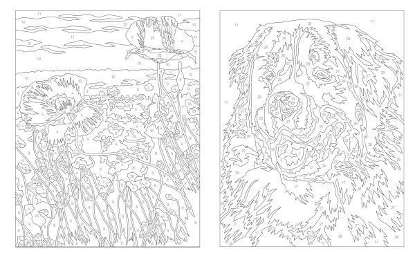 Coloriage par numéros – Élégance - Image 2