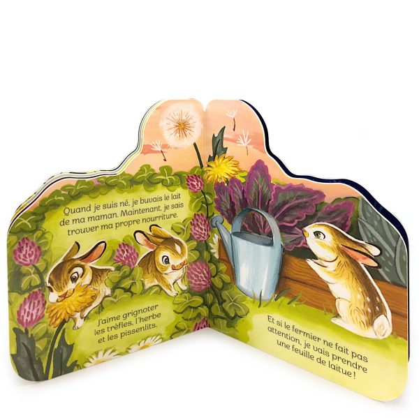 Petit lapin – Image 2